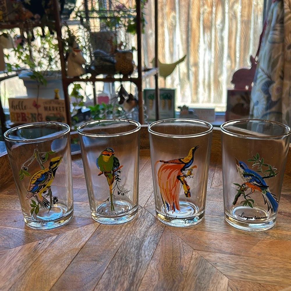 🩷HOST PICK🩷KIG Malaysia Vintage Exotic Bird Juice Glass Tumbler 1970’s ??